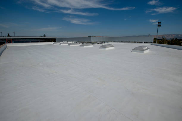 4 Ply Roofing in Ripley, MS